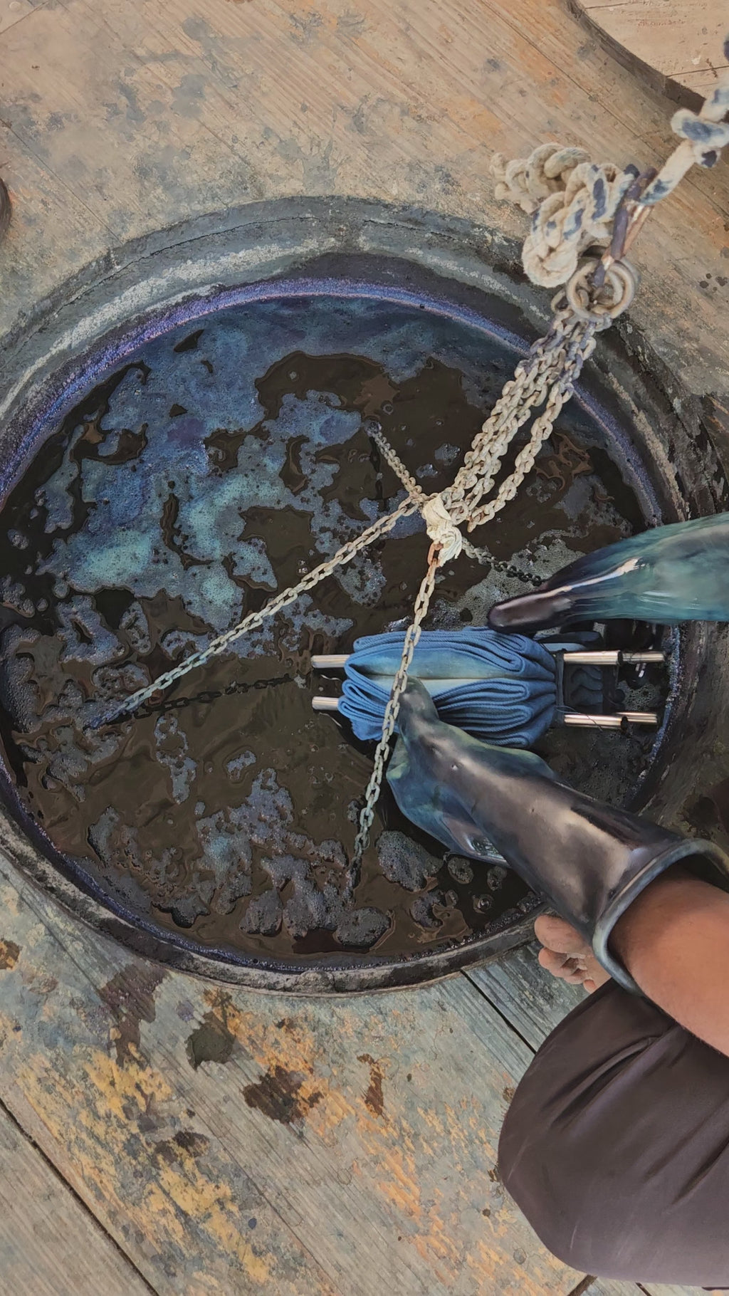 Companion Pants in Ocean